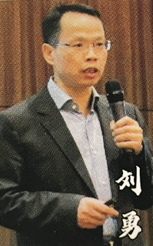 刘勇-高级咨询顾问