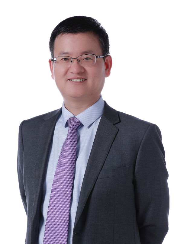 杨华-高级咨询顾问